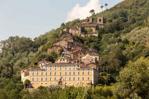 La Fondazione Collodi cerca soluzioni per un nuovo polo bibliotecario