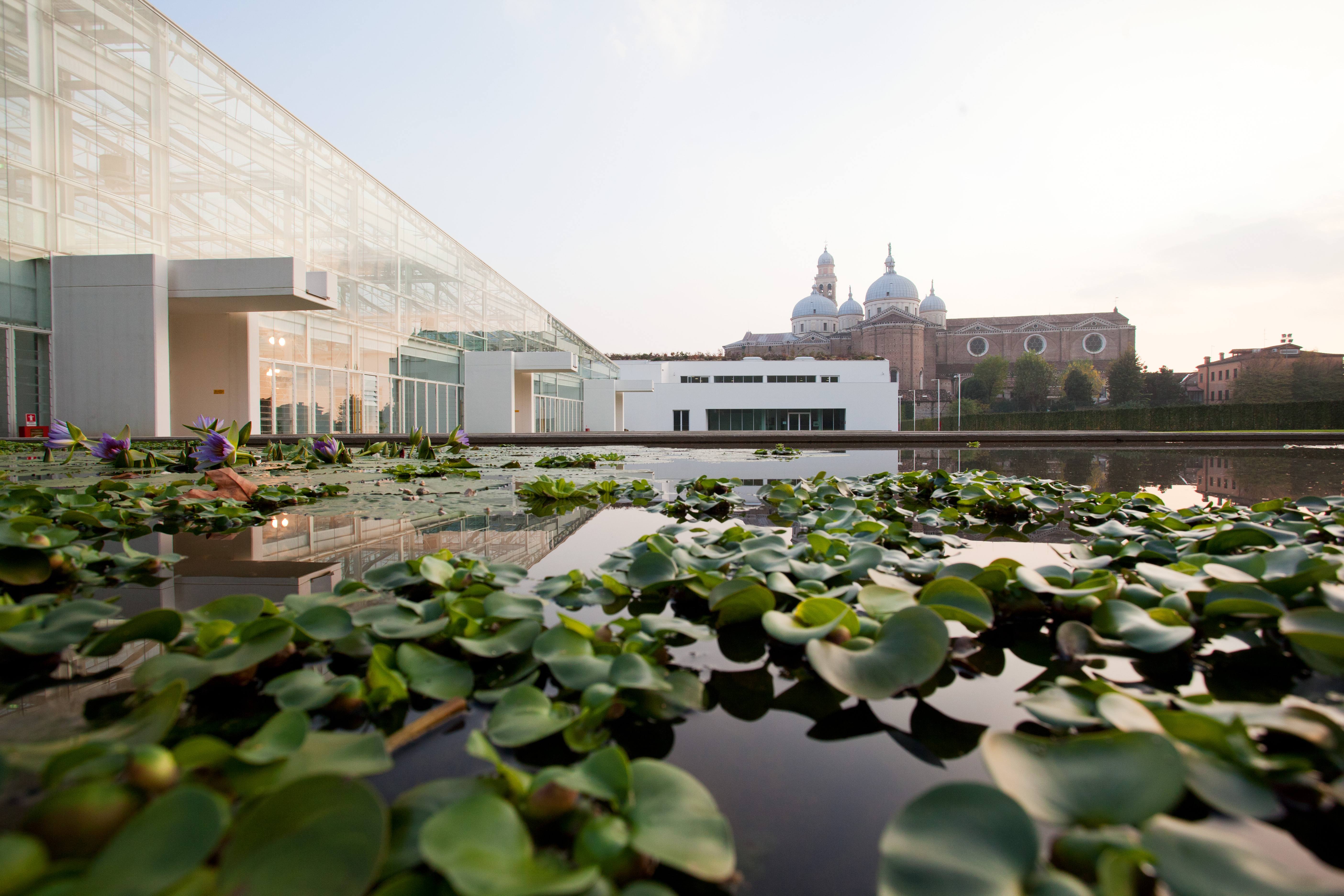 A dieci anni dal concorso, porte aperte al Giardino della biodiversità di Padova 