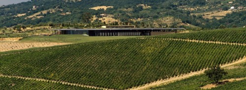 L’Ammiraglia, ecco l’ultima tenuta dei Marchesi de Frescobaldi