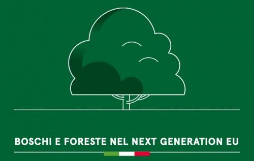 Next Generation Eu. Perché fare squadra per gestire in modo sostenibile boschi e foreste