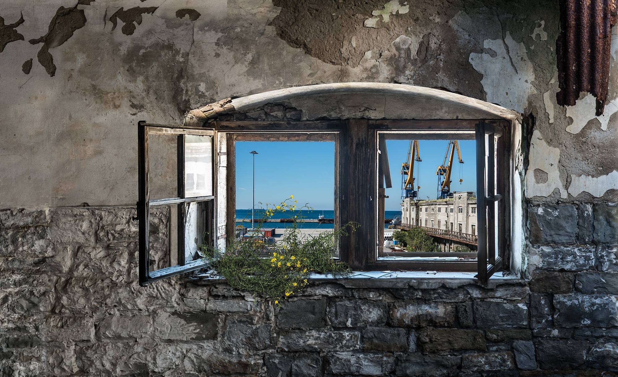 Trieste: una finestra aperta su un mare di possibilità